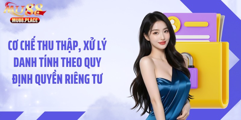 Cơ chế thu thập, xử lý danh tính theo quy định quyền riêng tư