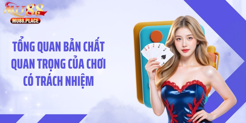 Tổng quan bản chất quan trọng của chơi có trách nhiệm